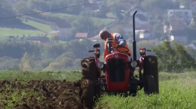 Një ditë brenda burgut të hapur të Smrekonicës, aty ku të burgosurit sigurojnë vetë bukën