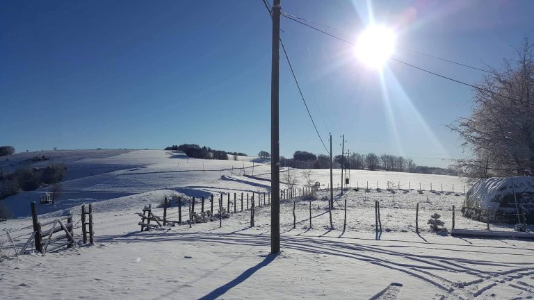 Parashikimi i motit për sot