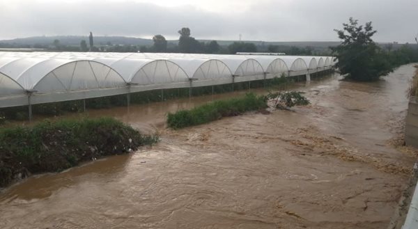Edhe sot me reshje shiu, s’përjashtohet mundësia për vërshime në disa rajone