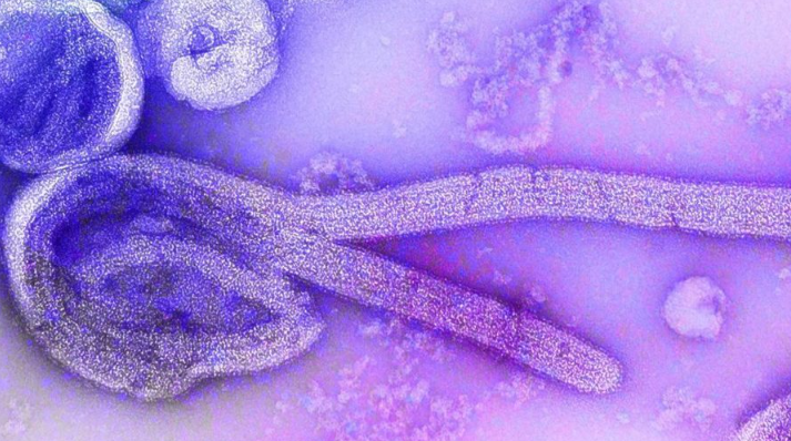 Spanja zbulon rastin e parë të virusit vdekjeprurës, izolohen 200 persona