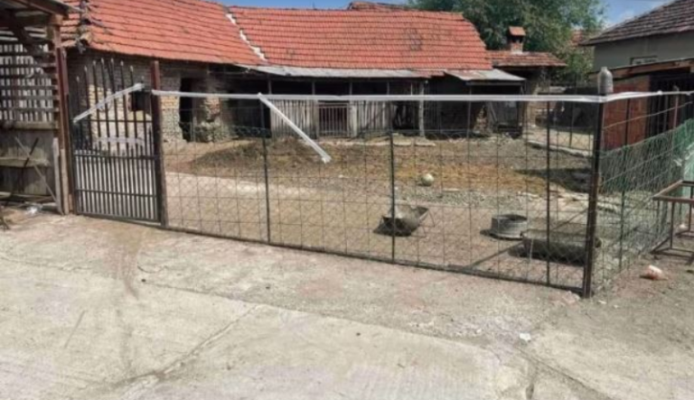 Kosova merr masa për të penguar përhapjen e murtajës afrikane të derrit