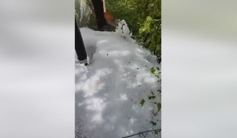 Breshri masiv largohet me lopatë në Malishevë