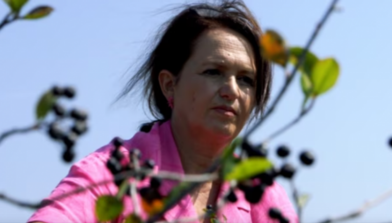 Fermerja e kthyer nga Kroacia që zhvilloi biznes me fruta të imëta