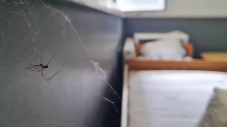 Në kushte të mjera, Pediatria në Mitrovicë të Jugut pret objektin e ri