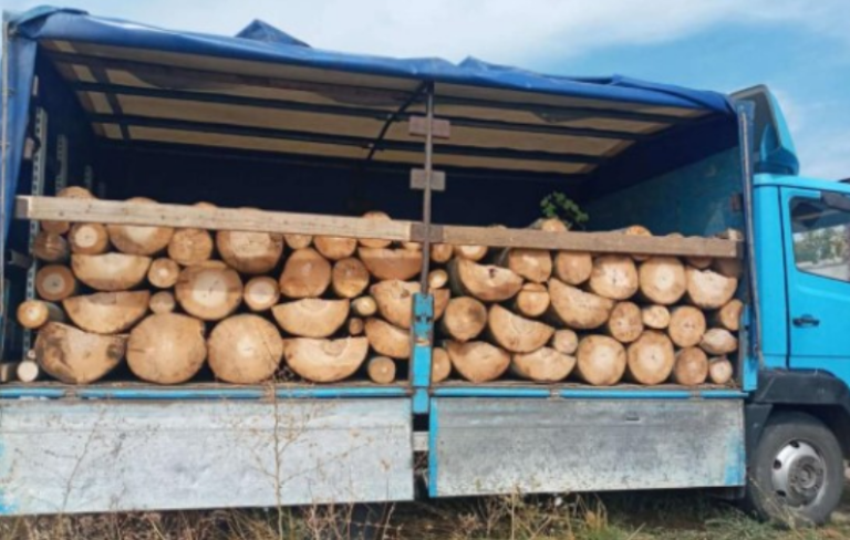 E pabesushme: Ja në sa ka shkuar çmimi për një metër dru