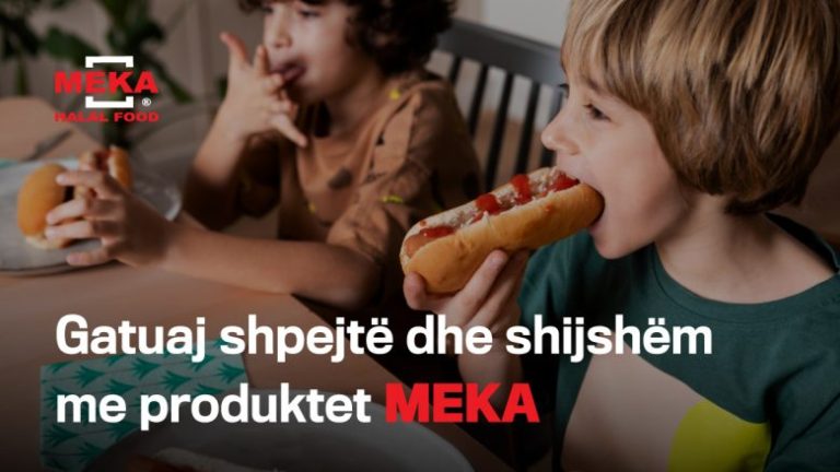 Gatuaj shpejtë dhe lehtë me MEKA