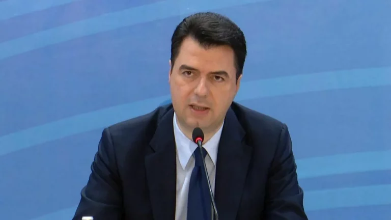 Basha kërkon që të miratohet ndihma ushtarake prej 50 milionë eurosh për Kosovën