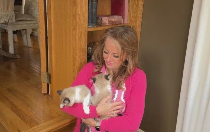 Gruaja në Kanadë klonon macën e saj që kishte ngordhur para dy vitesh