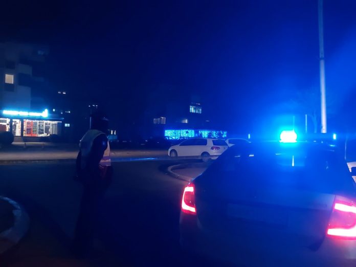 Incident në Vushtrri: Qentë endacakë i vërsulen policit, ai e nxjerr armën dhe gjuan