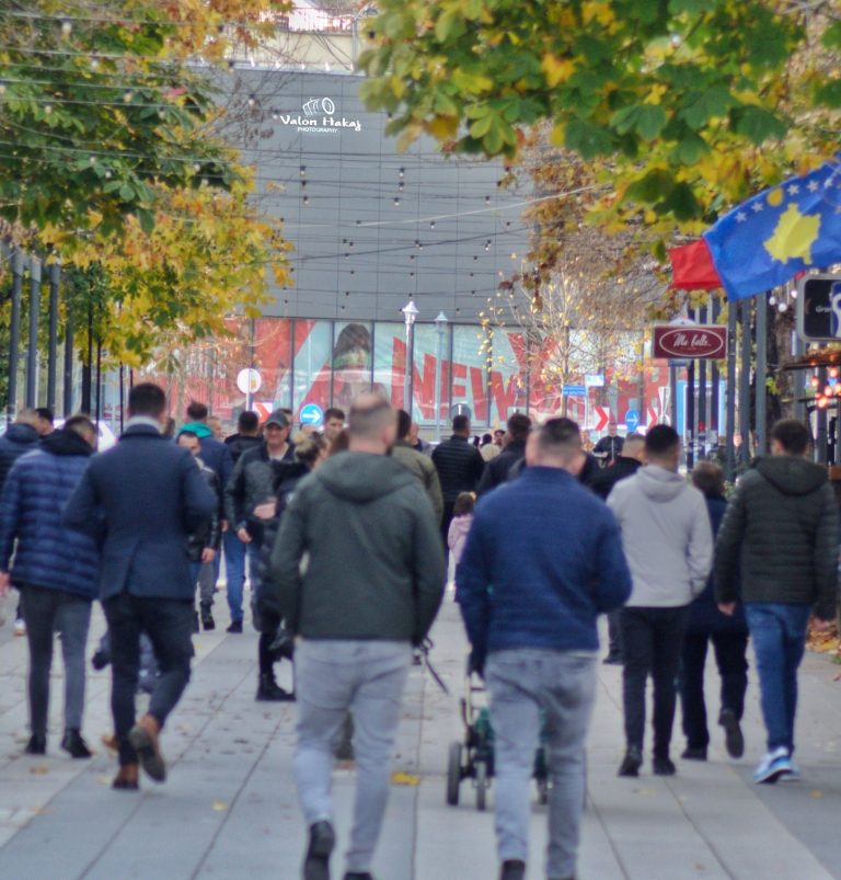 Të dhënat paraprake të regjistrimit: Kosova me mbi 1.5 milionë banorë
