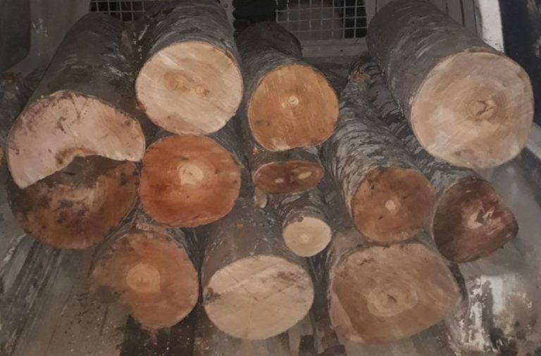 Bie çmimi i metrit të drurëve në Kosovë