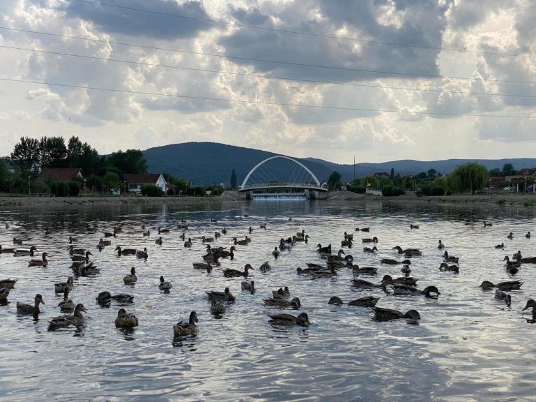 Rrebeshe shiu e rrufe, parashikimi i motit për sot