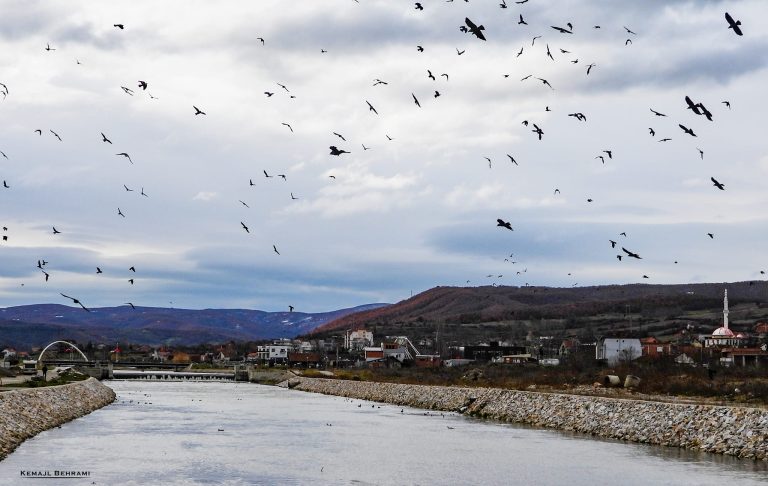 Vranësira e riga lokale shiu sot