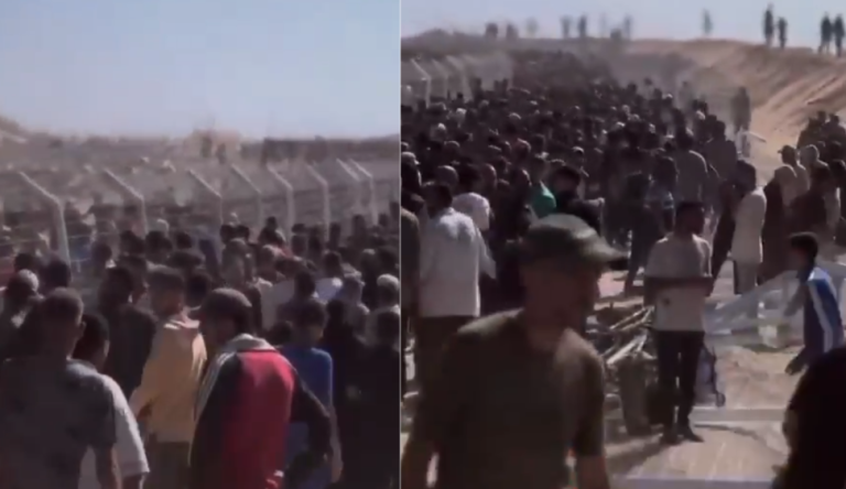 Turma njerëzish “luftojnë” për një copë bukë, pamje tronditëse gjatë shpërndarjes së ndihmave në Gaza