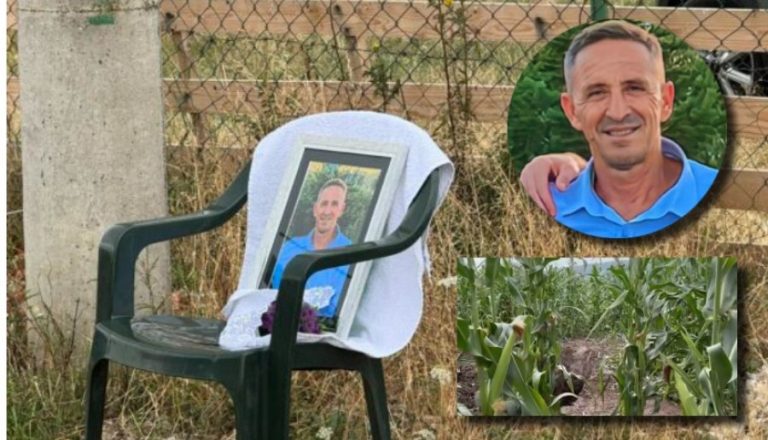 Gjykata jep detaje: Vr’asja në Baicë s’u krye vetëm nga një person