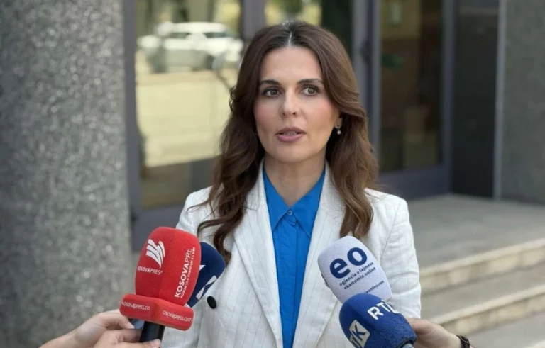 Çitaku: Shpresojmë që Albin Kurti do të reflektojë, Kosova ka halle të mëdha