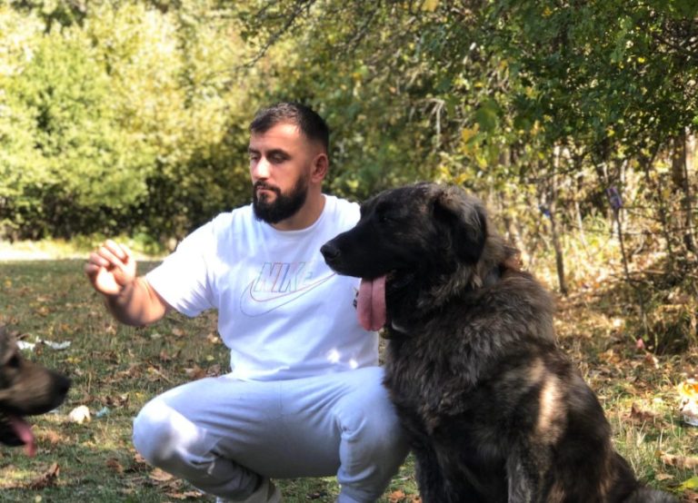 Ndodhë edhe kjo: Fjalosja pas përleshjes të qenve çoi në vrasjen e të riut