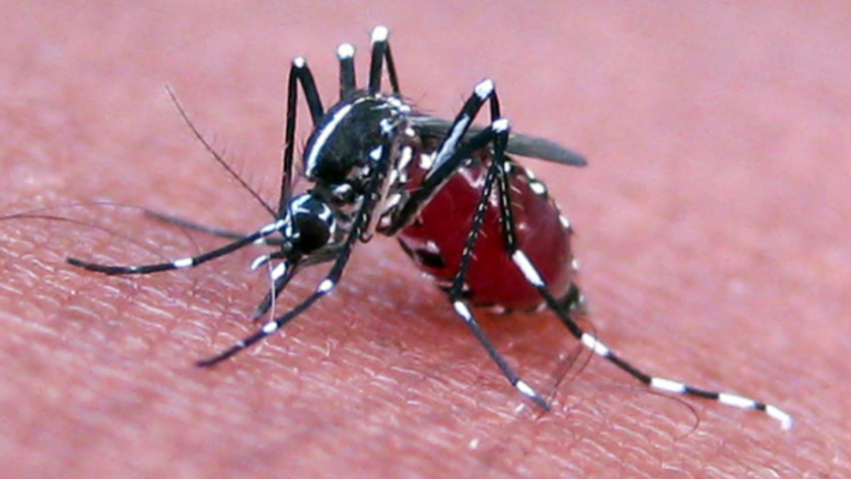 Shpërthimin e virusit të ri: Mijëra të prekur, dhjetëra të vdekur – fillon në Kinë