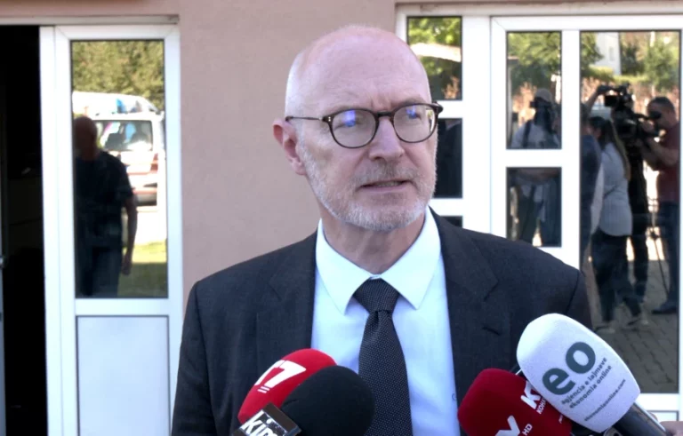 Guerot: Kushtetuesja institucion i respektueshëm jashtë Kosovës, respektojeni edhe ju