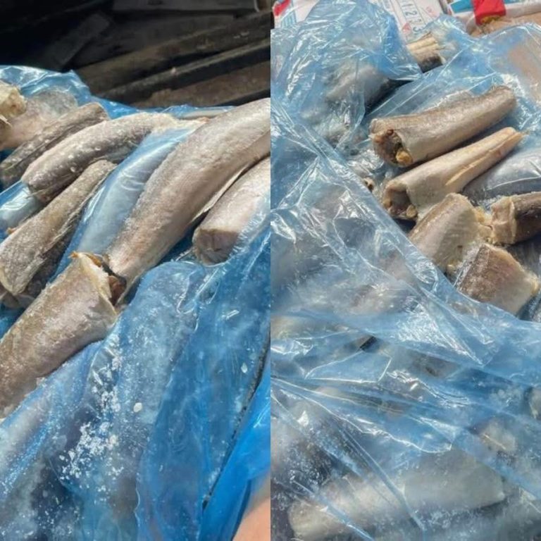 E çuditshme: AUV e pranon se ka krimba në peshqi, por thotë se kur gatuhen mbi 60 gradë celsius largohet rreziku