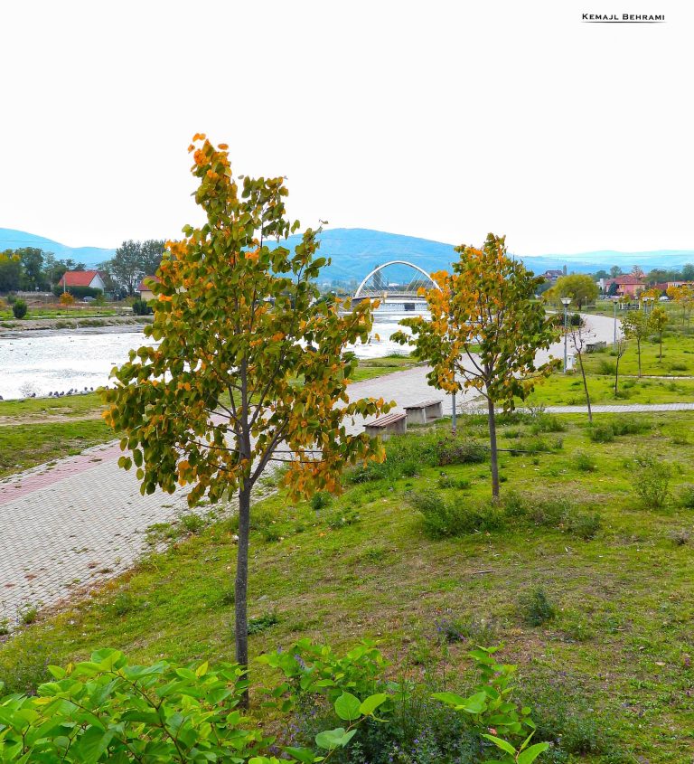 Sot mot i vranët dhe mundësi për reshje shiu