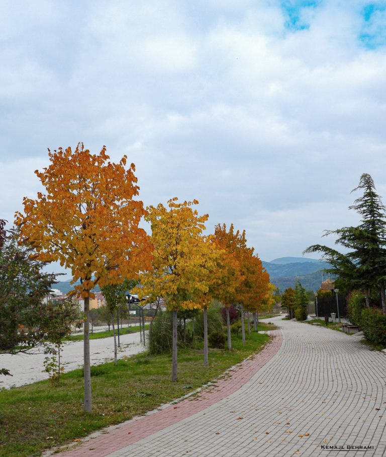 Mendimi për motin: Nesër diell e vranësira kalimtare