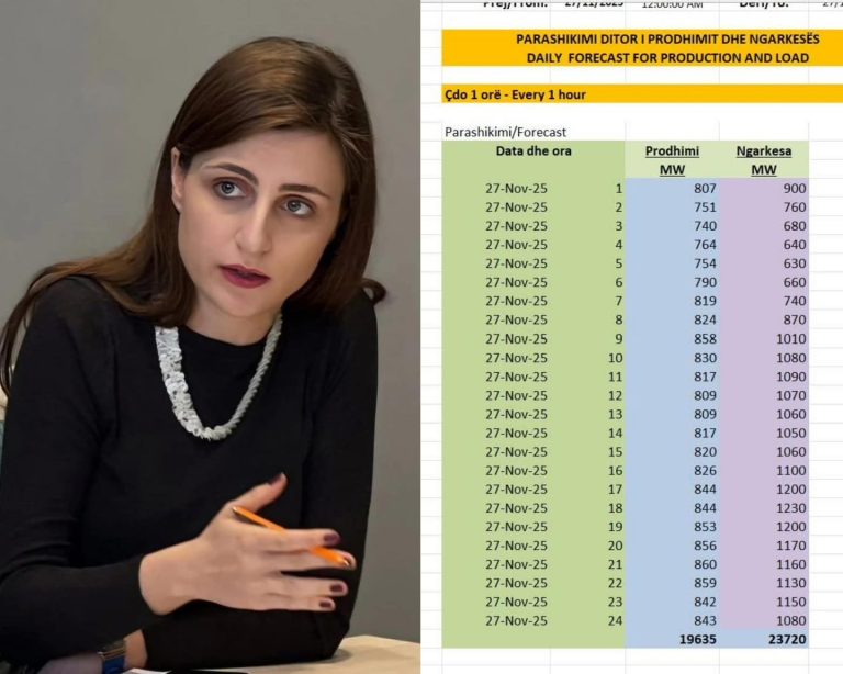 Ekspertja e energjisë: Kosova zgjohet e flen në import, dihet me import me strategjinë Vukvendosje