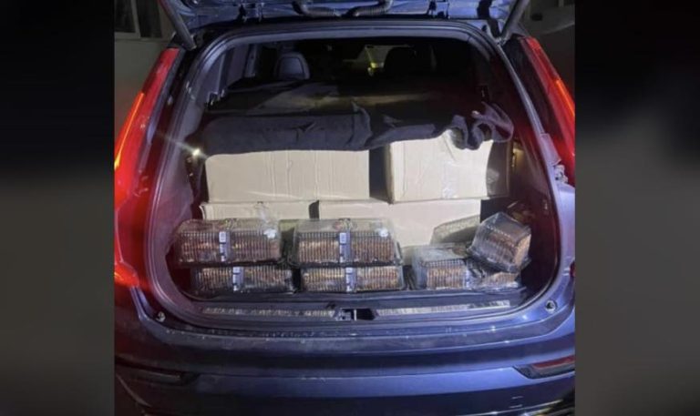 Kontrabandonte mallra nga Serbia, policia ndalon një person