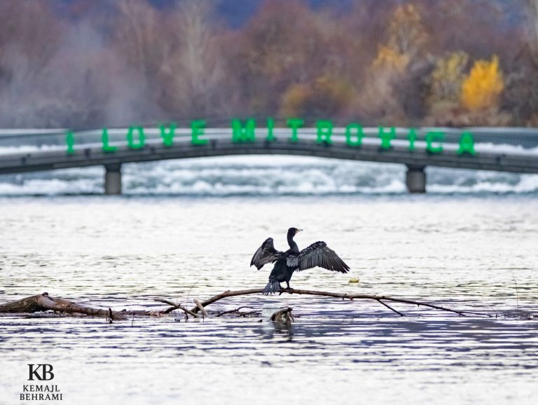 Mot i ftohtë dhe mjegull në fundjavë, temperaturat zbresin në -4°C