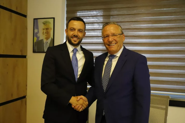 Hamza, Tahiri dhe Gruda prijnë – 10 më të votuarit në PDK me 89.1% të votave të numëruara