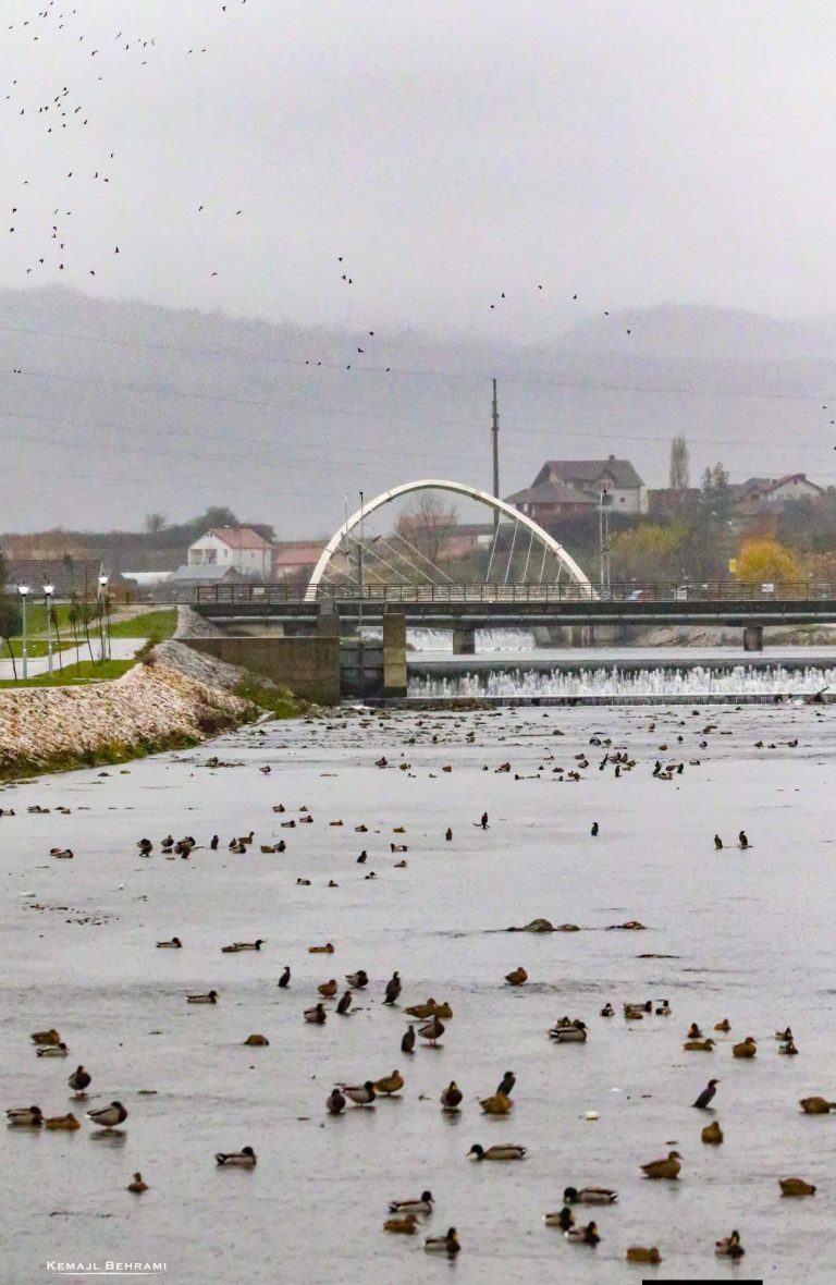 Parashikimi i motit për sot, kryesisht i vranët, priten edhe riga shiu