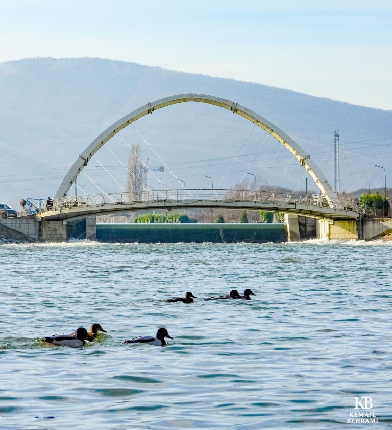 Mot me diell edhe nesër