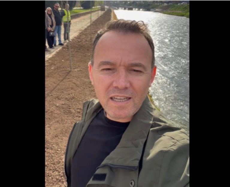 Peci mbjell 40 drunj dekorativë: Çdo ditë e lume, punë dhe shërbim për Mitrovicën tonë