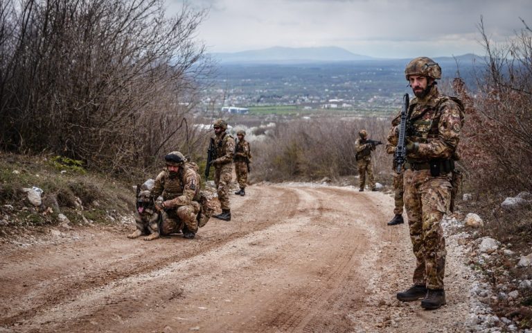 KFOR zhvilloi dje patrulla këmbësorie me mbështetjen e njësive K9