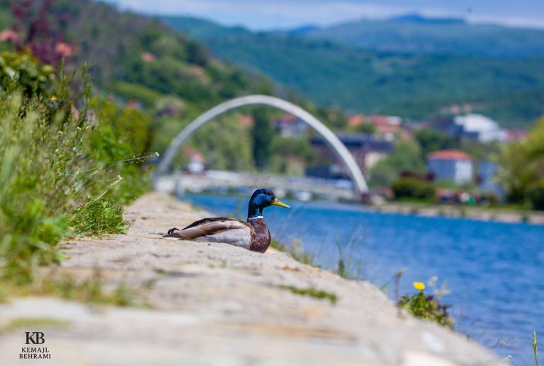 Temperatura deri në 29°C, parashikimi i motit për nesër