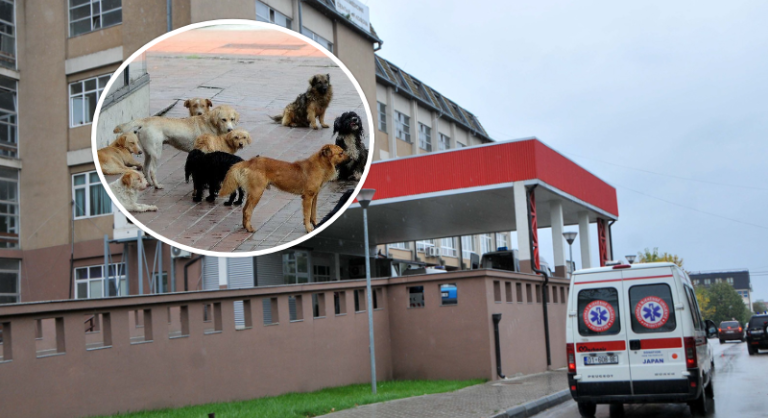 Një mjek dhe një punëtore shëndetësore sulmohen nga qentë endacakë në QKUK
