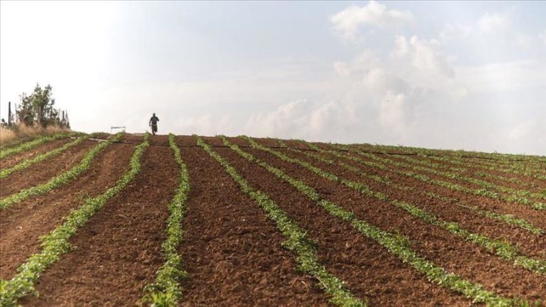 Kosovarët po e lënë tokën djerrë: Mbi 6 mijë hektarë pa u punuar gjatë 2025-ës
