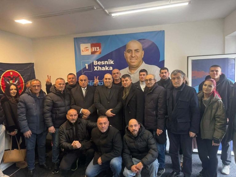 LDK e veriut të Mitrovicës e para në mbështetje të Lumir Abdixhikut