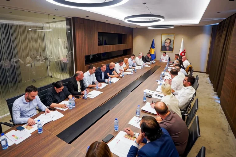 Kryesia e LDK-së: Zgjedhjet e brendshme mbahen në afat të rregullt, “përgjegjësia jonë është ta ruajmë të bashkuar partinë”