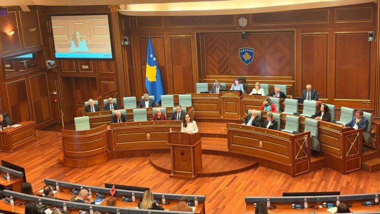 Osmani: Vepra e dhunës në familje do të duhej ta kishte dënimin e njëjtë si terrorizmi